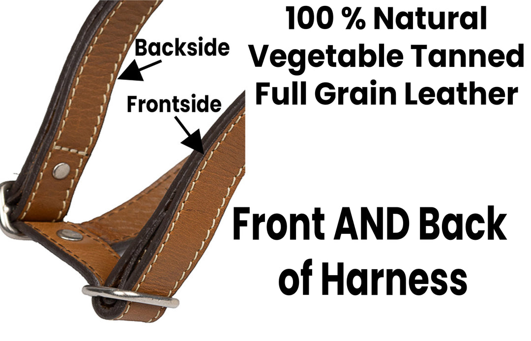 Classic Harness