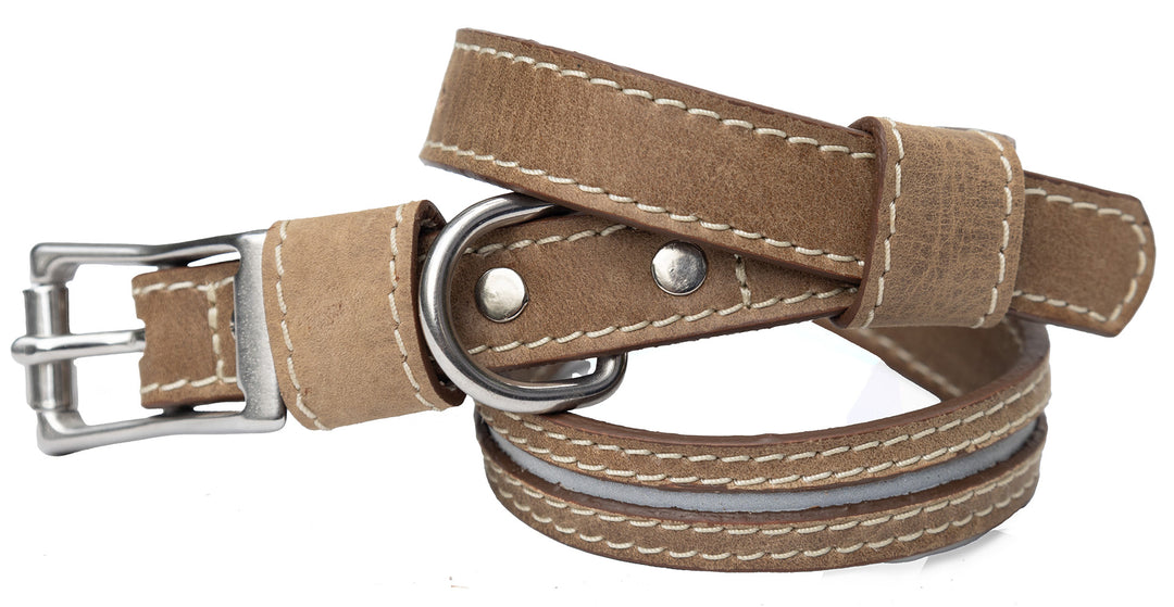 Classic Collar (Steel)