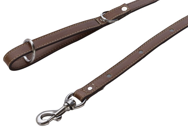 Fixed Length Leash